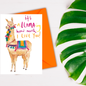 llama love