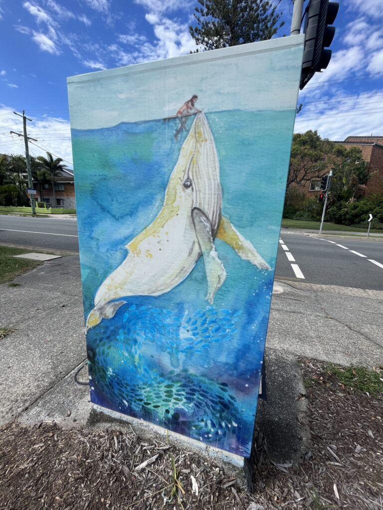 art box bilinga - Migaloo - iampoppy designs